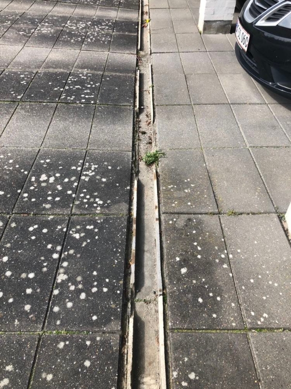 afvandingsrende foran carport skal skiftes. Ca. 9 m