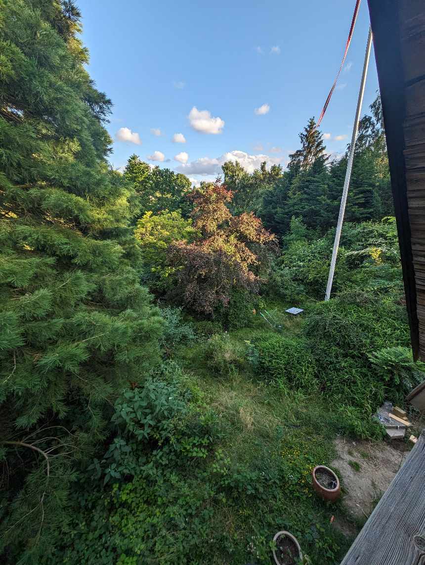 Havearbejde i jungle :)