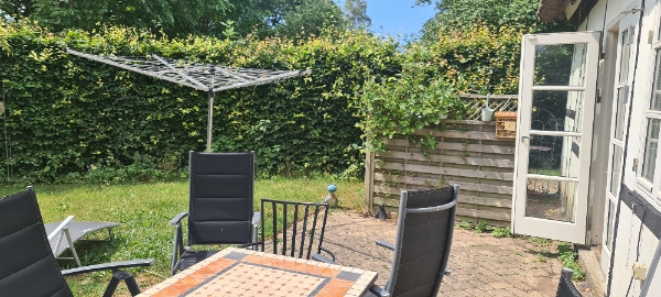 Hedge trimmed, both sides and tops taken back 25cm