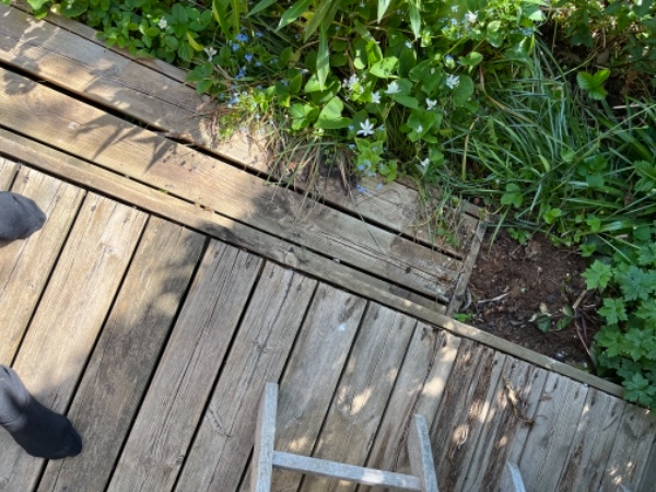 Gammel træterrasse fjernes ny opsættes ca. 8 kvm