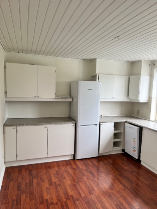 Nedtagning og opsætning af Ikea køkken