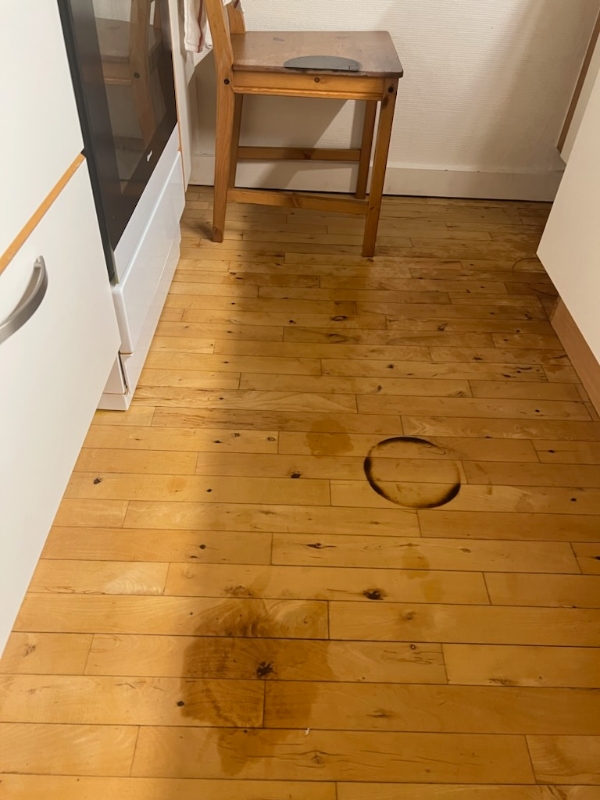 Hjālpe til rengøring I køkken og slibning af køkkengulvet.