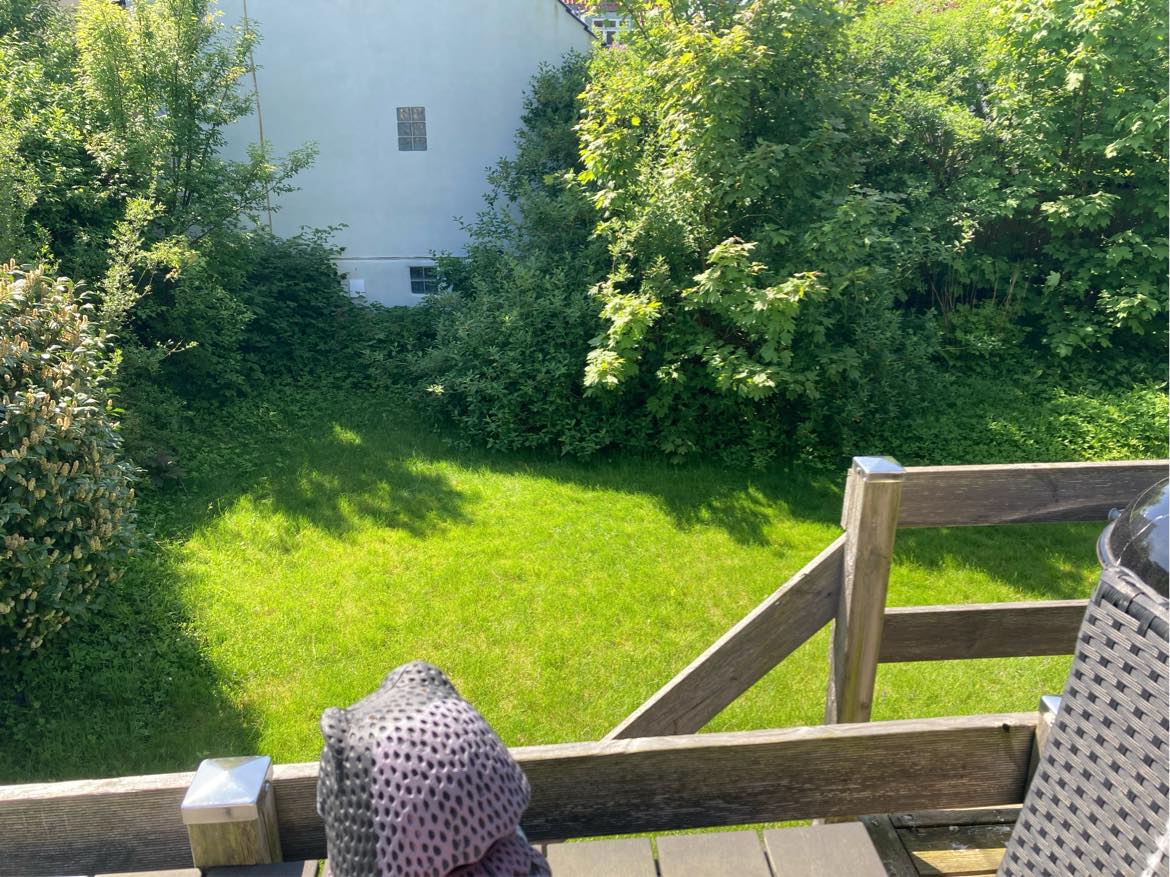 Beskæring og græsslåning