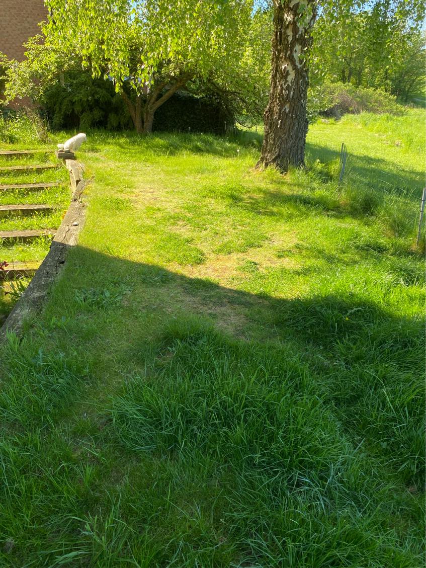 Hjælp til græsslåning