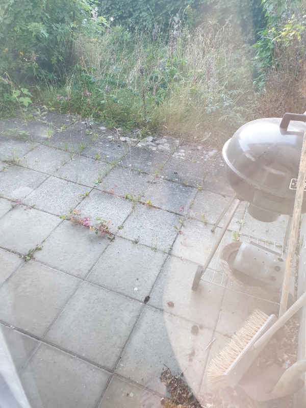 Ordning af lille have