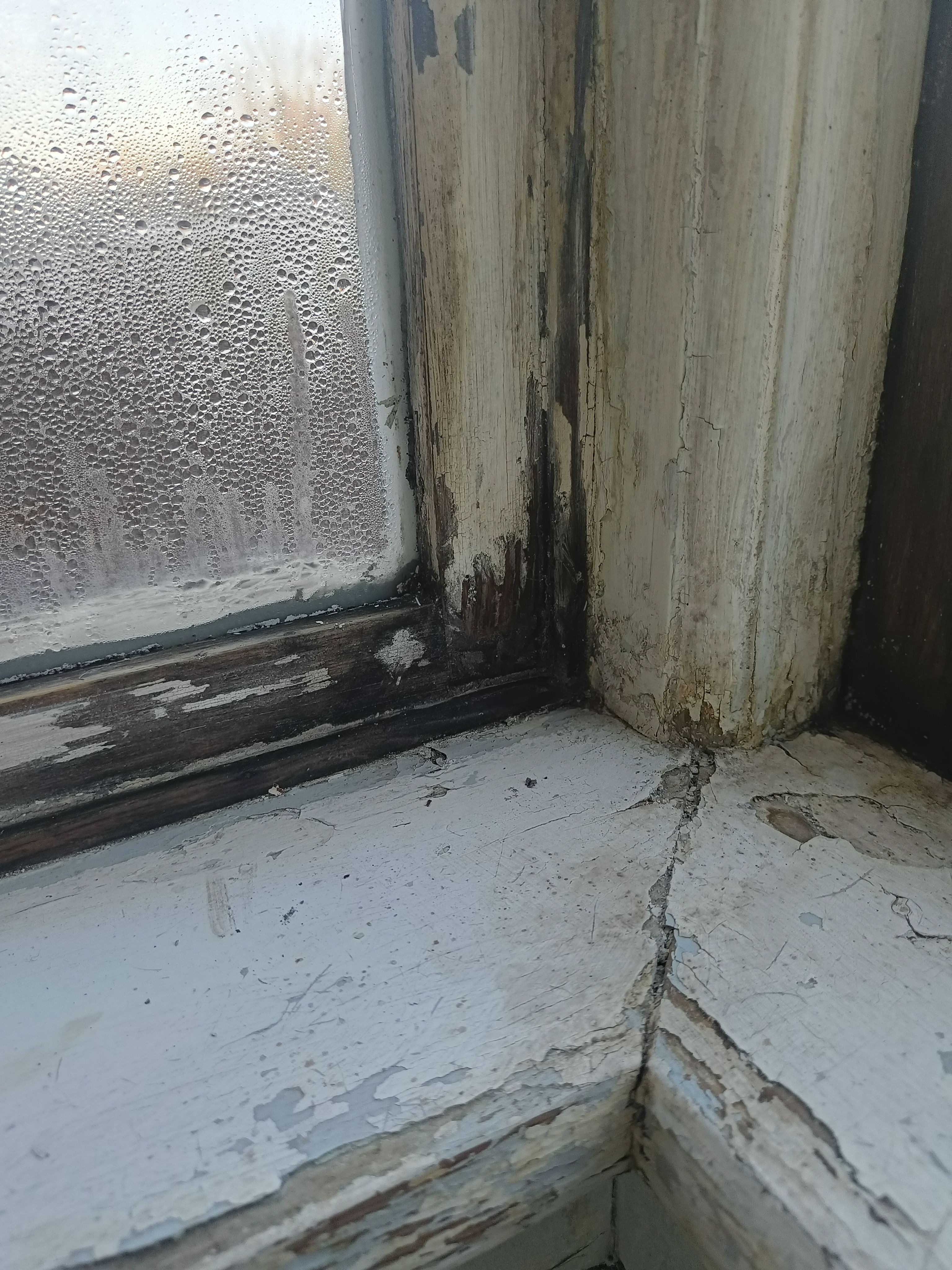 Skift af vindueskarme og 2 vinduer