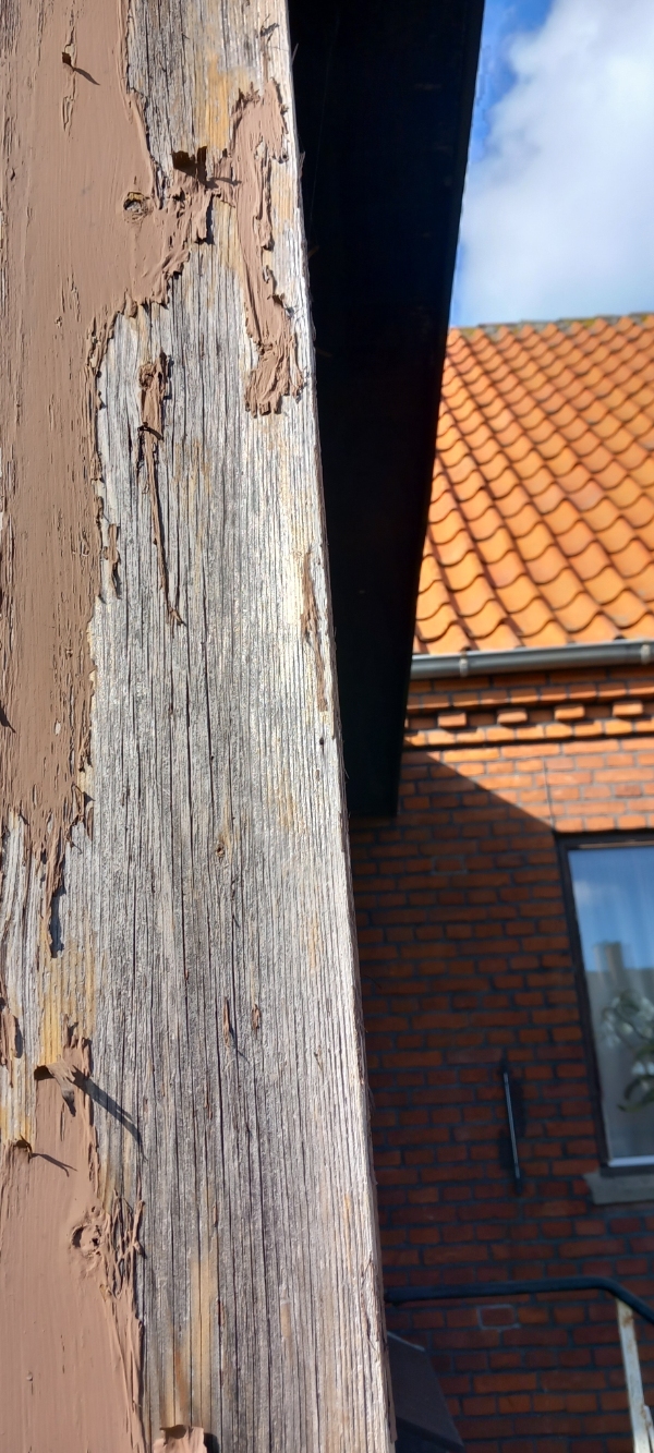 Træværket på udestuen skal slibes og males