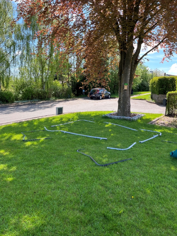 Plantning af ligusterhæk
