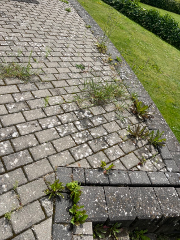 Ukrudtsfjerning og kantstikning