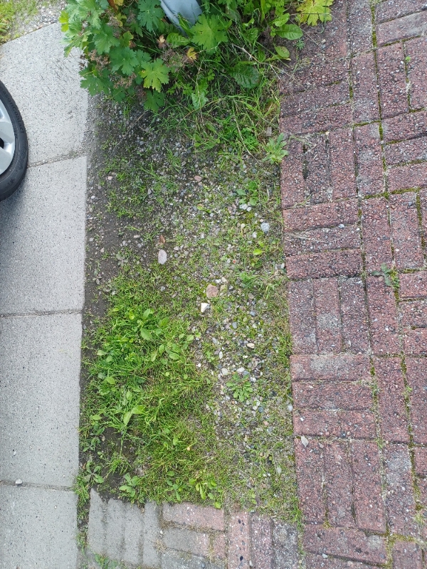 Ukrudt og græsslåning