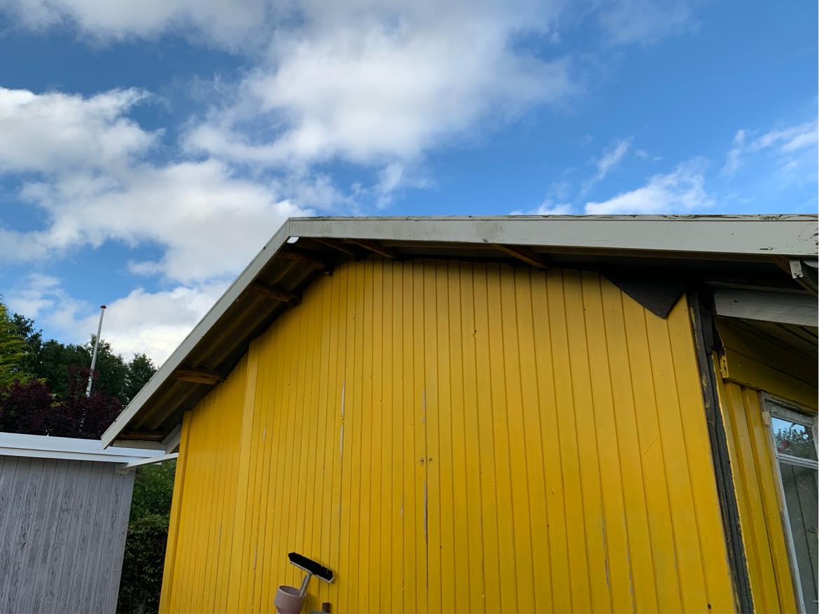 Maling af endegavl på kolonihave