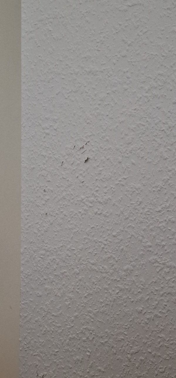 Tapetsering i flere rum