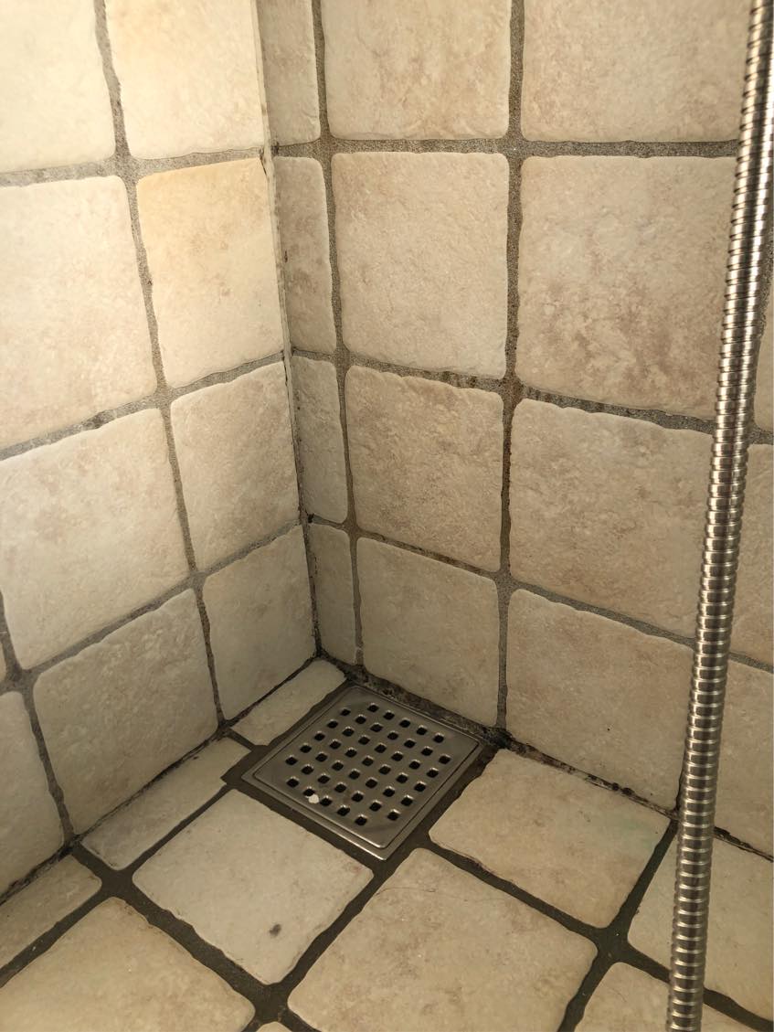 Rengøring og vinduers pusning