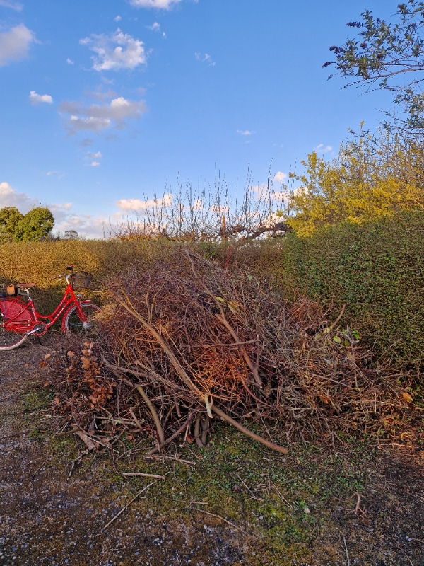 Afhentet grene/hæk-afklip