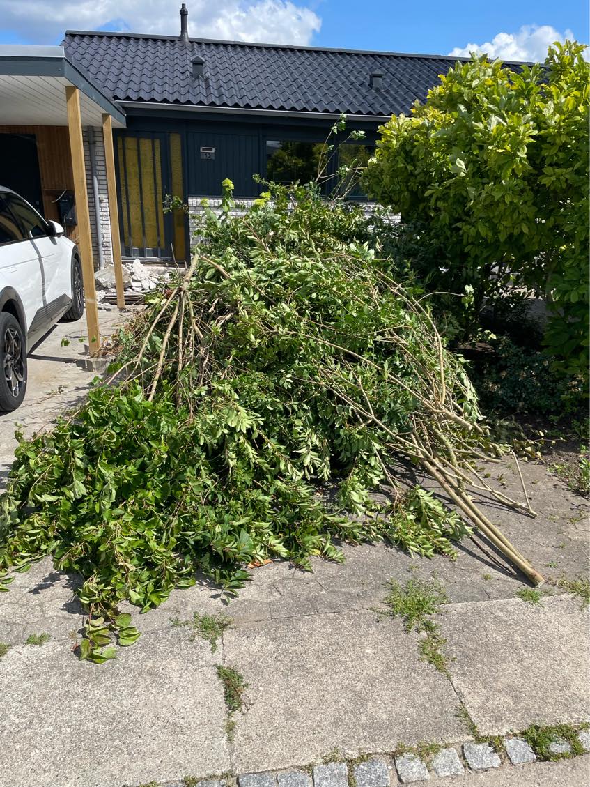 Affald have og lidt beton