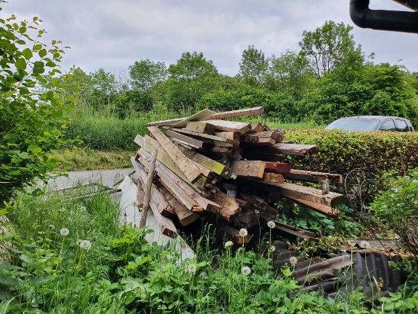 Fjernelse af affaldstræ