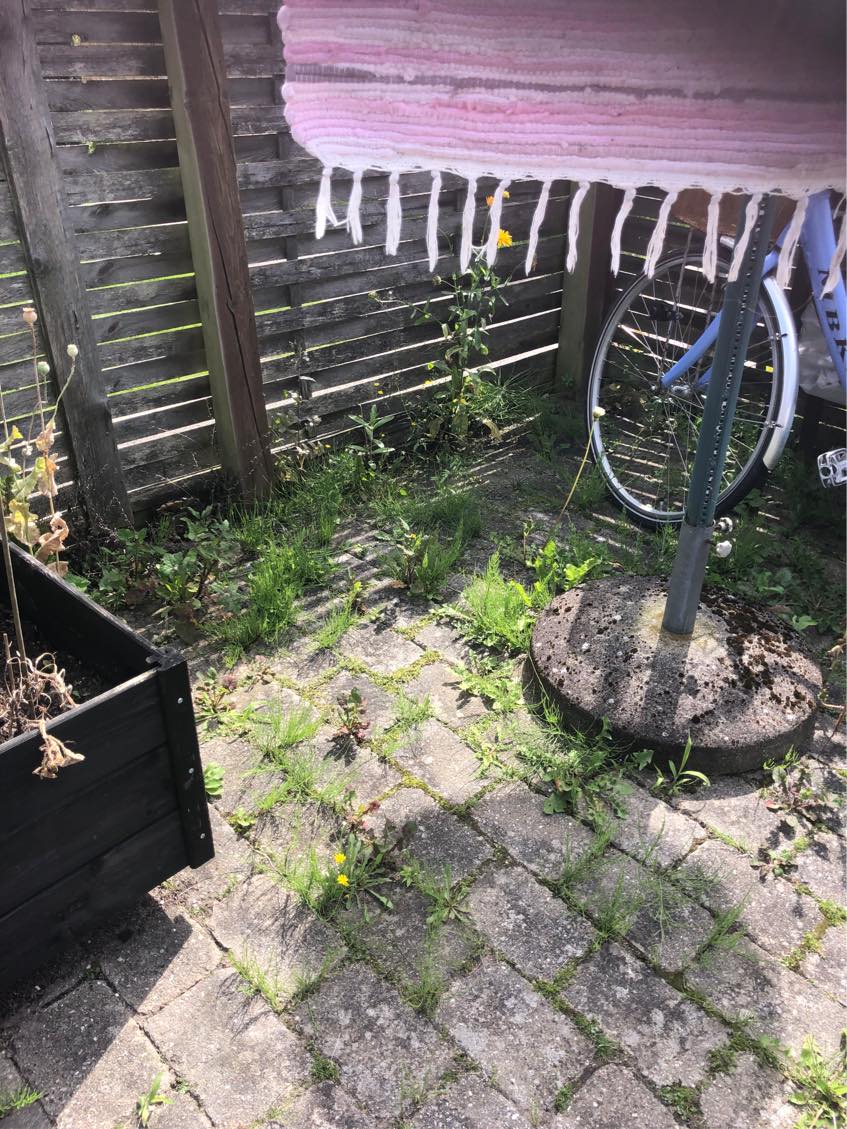 HJÆLP! Ukrudtet har fået magten i mine 2 små haver!