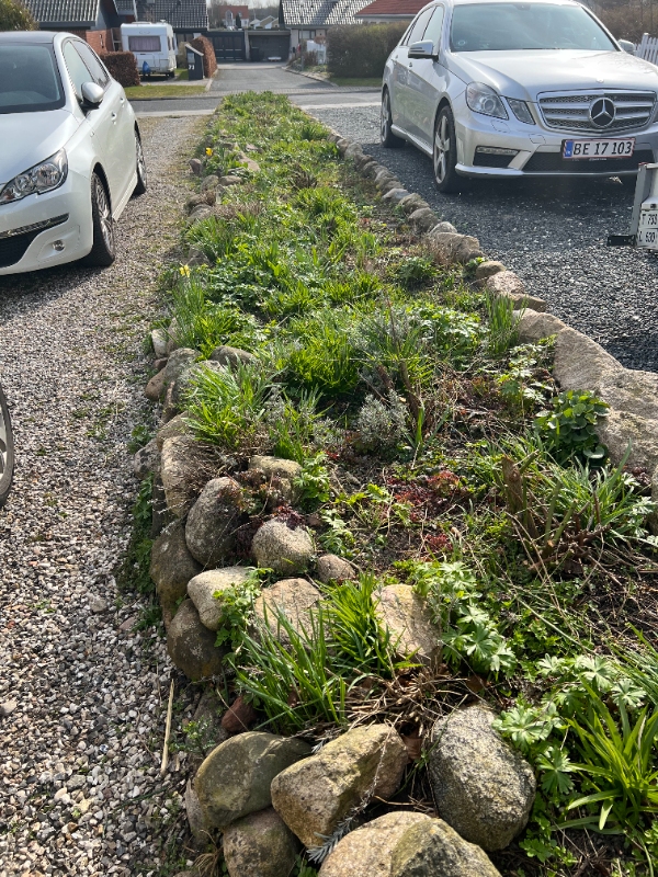 Sten-bed in indkørsel skal rykkes ind, jord skal fjernes med lille gravko