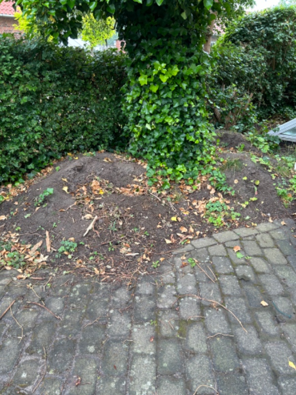 Bortskaffelse af jord