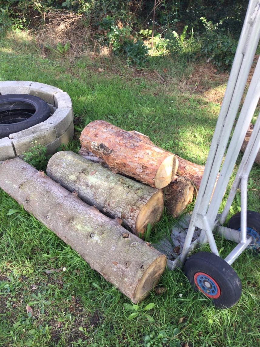 Save brænde, træet er fældet