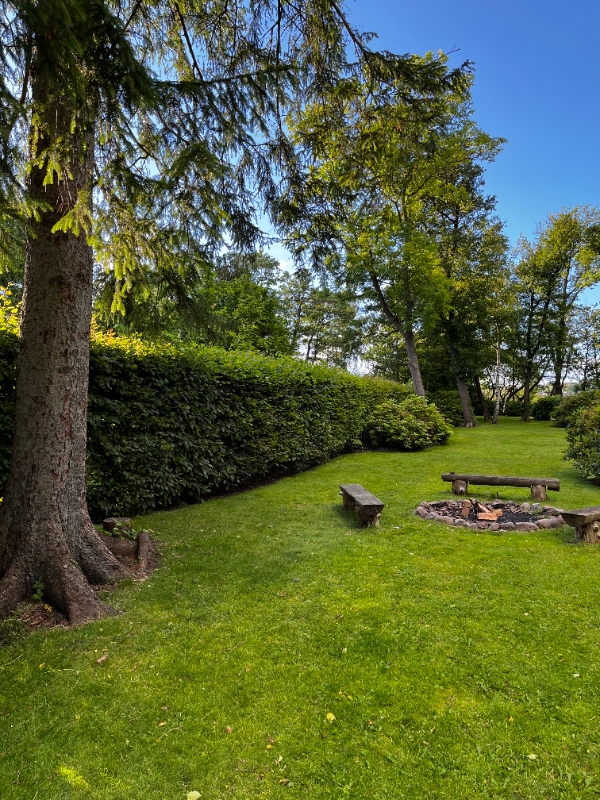 Hækklipning og beskæring i Lyngby