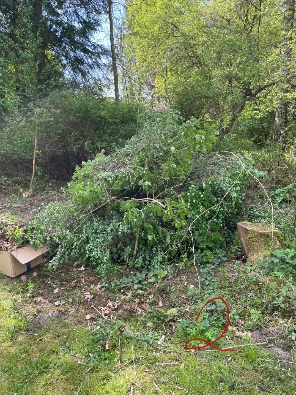 Haveaffald kørsel til genbrugsstation