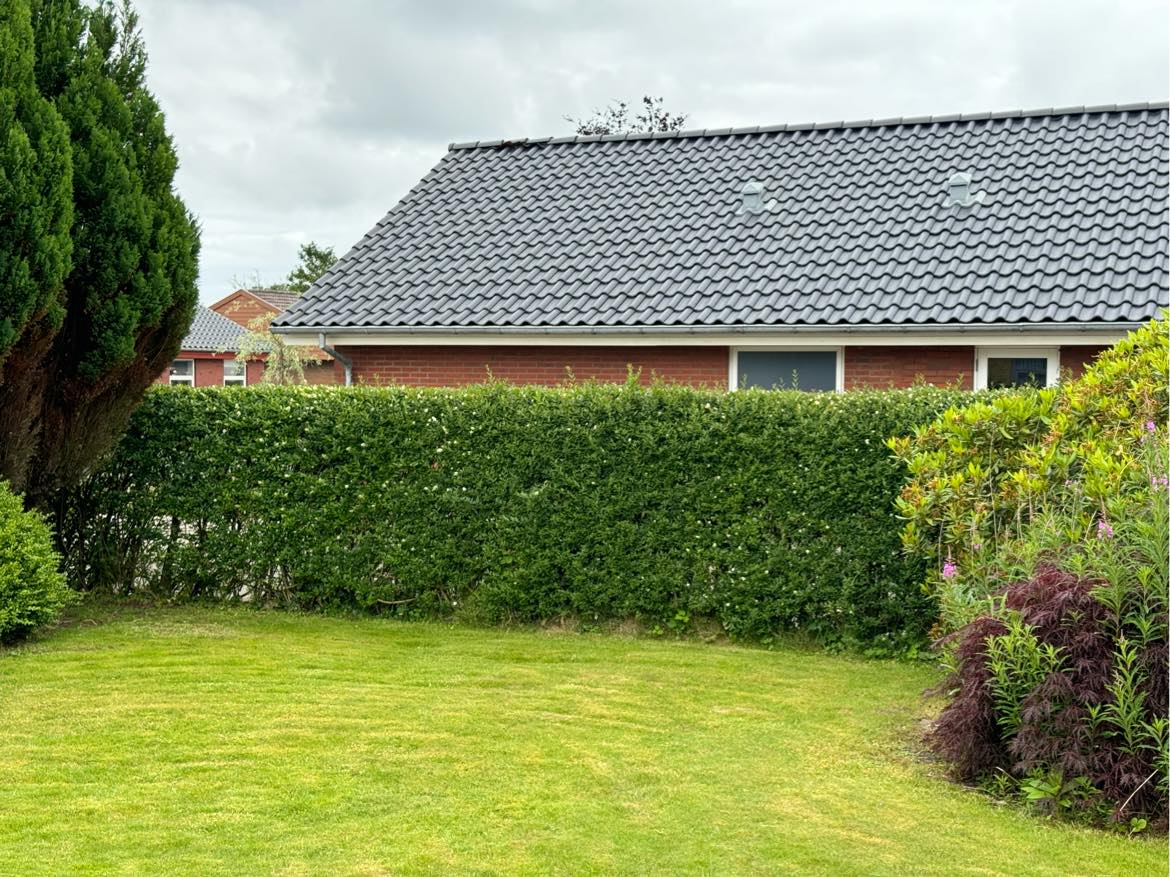 Hækkeklipning (liguster), fjernelse af ukrudt i og under hæk samt bortskaffelse.