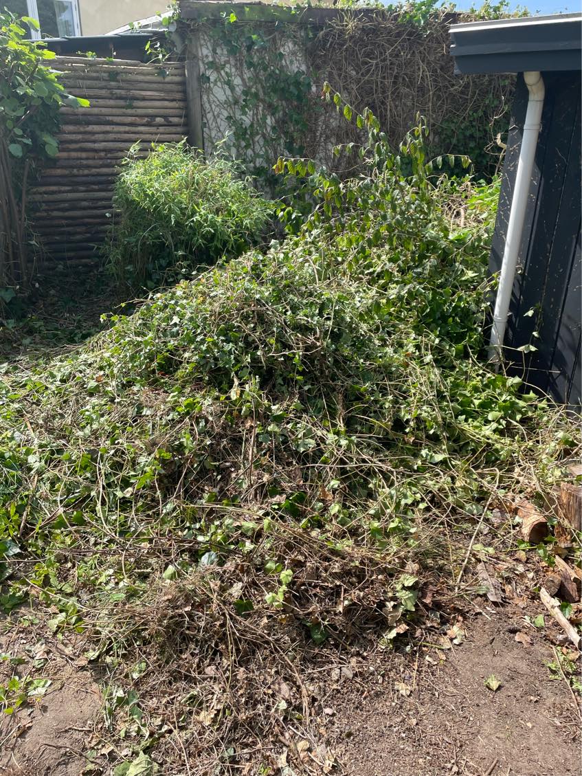 Haveaffald til genbrugspladsen