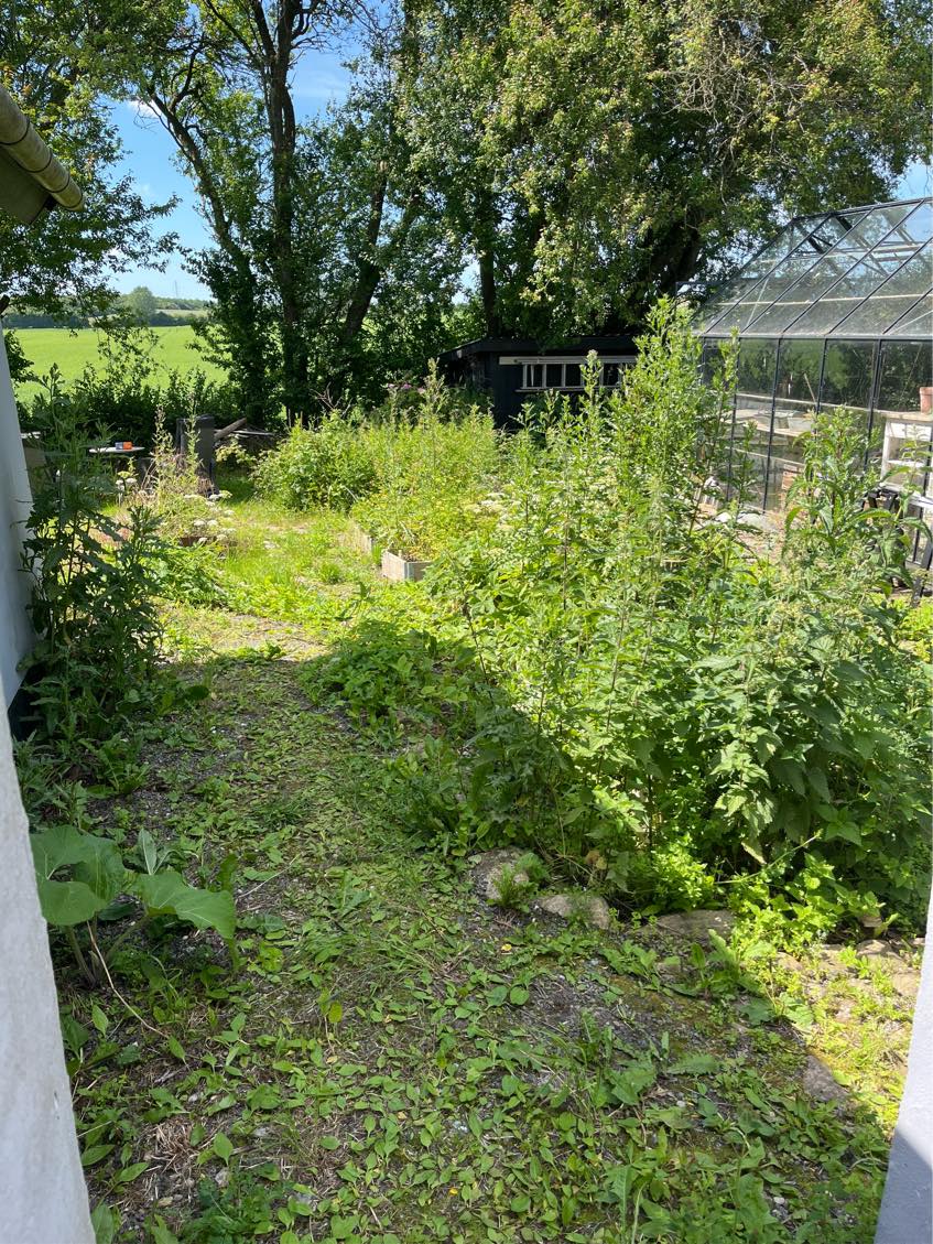 Hækkeklip ca 10, 3 sider  rydning ukrudt ca 40 km2, bortførsel have affald