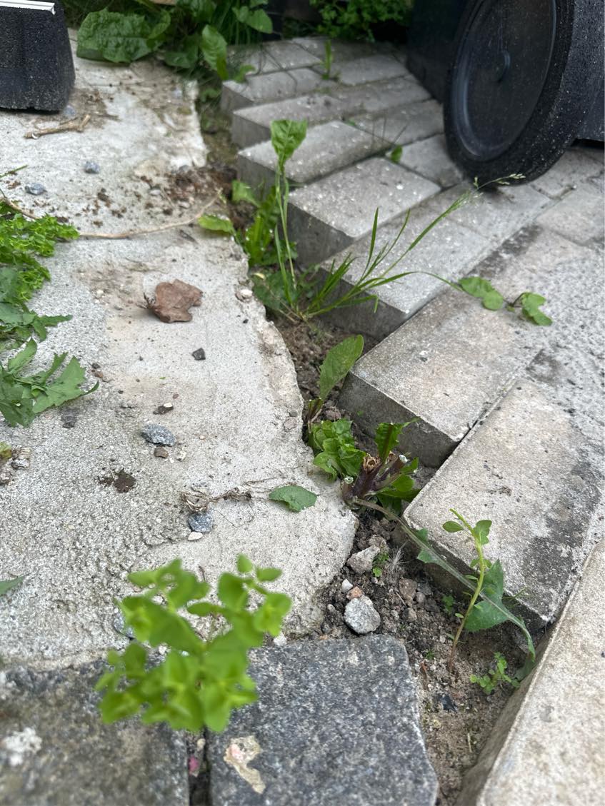 Færdiggørelse af fliser