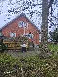 Fælde træ / rodfræse / skære til brænde