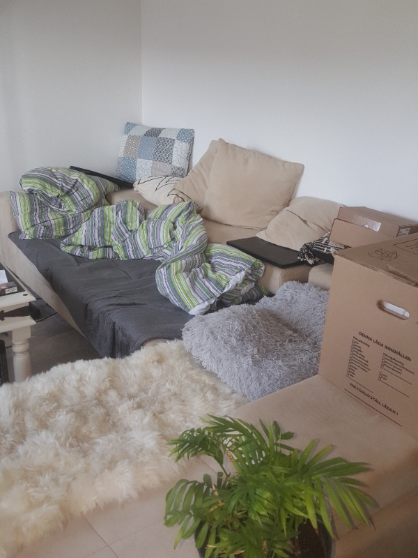 Hej jeg kunne godt tænke mig at få flyttet nogle sofaer mm det er nogle tunge ting og der er en del
