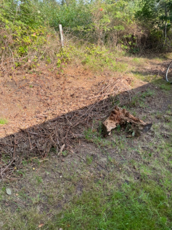 Bortskaffelse haveaffald