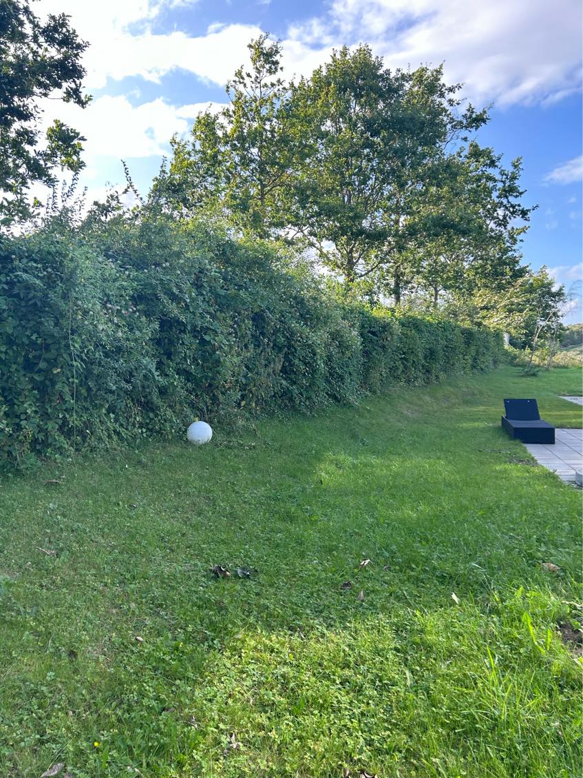 Ensidet klipning af hæk