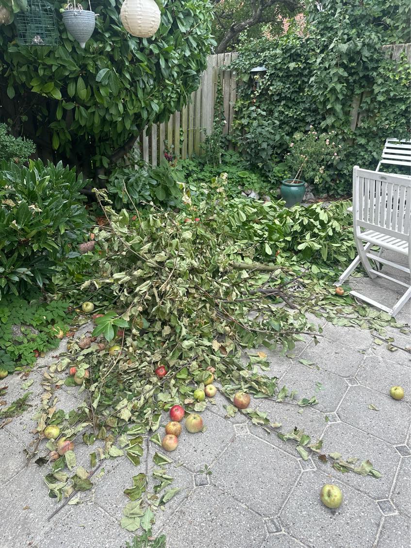 Fjerne haveaffald og køre det væk
