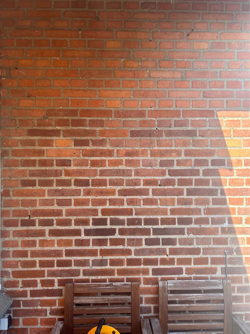 Vi har muligvis murbier i vores husfacede.