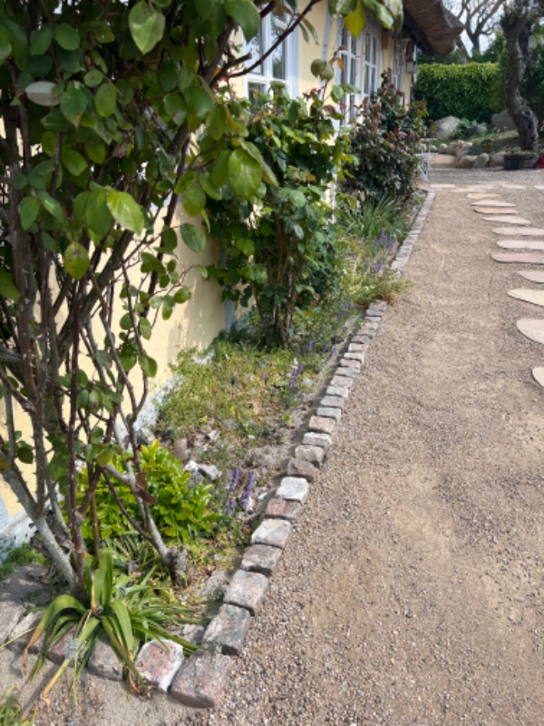 Forårs ukrudts rydning