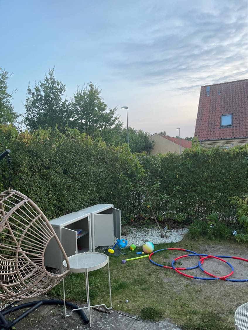 Klipning af hæk på begge sider og bortkørsel af affald. Ca. 40m2