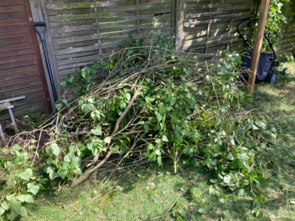 Køre grenaffald på genbrugsplads