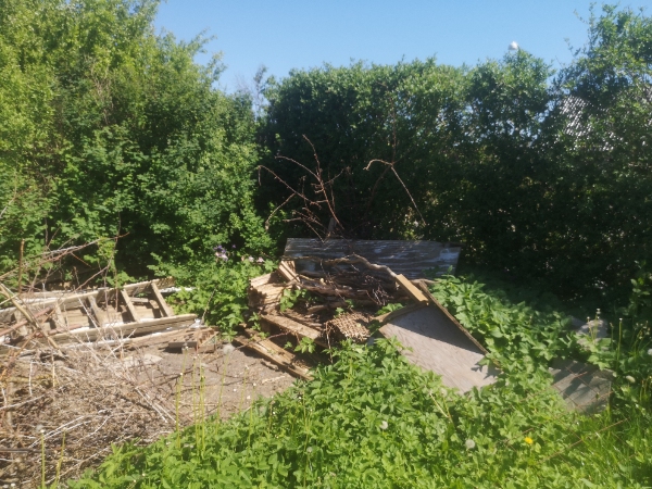 Trailerflytning i Hvidovre