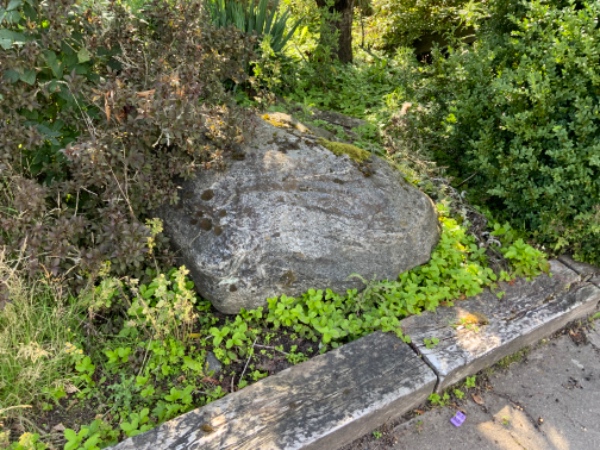 Bortskaffelse af 4 store sten