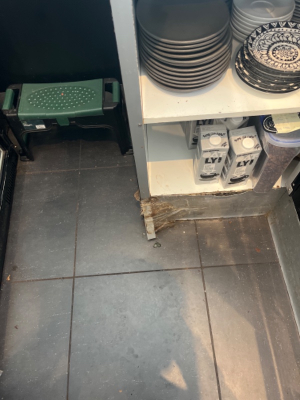 Skal ha hylde skruet af og sættes på og lavet bladerne