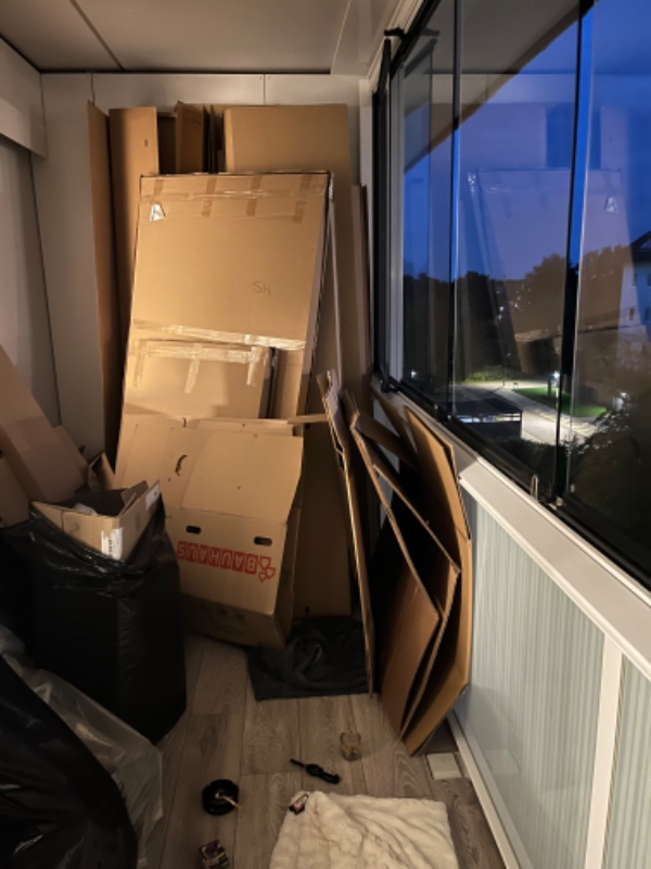 Bortskaffelse af pap affald, flamingo, rester af træplader.