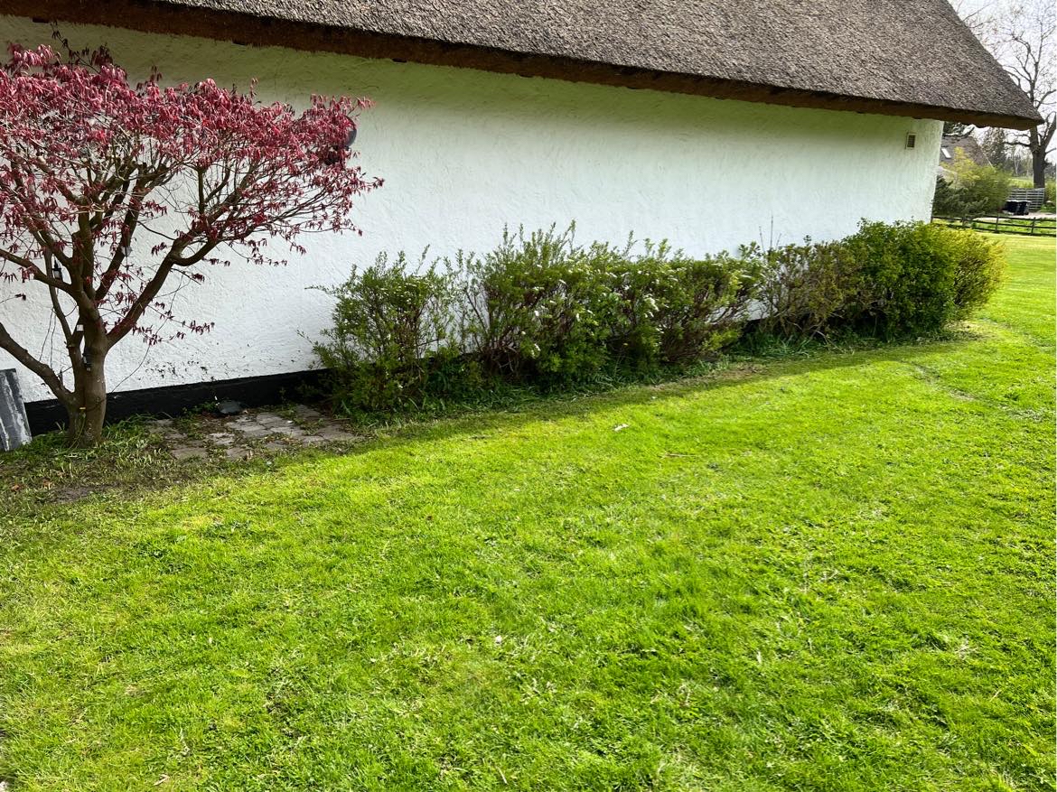 Fjernelse af ukrudt i hæk og mellem fliser