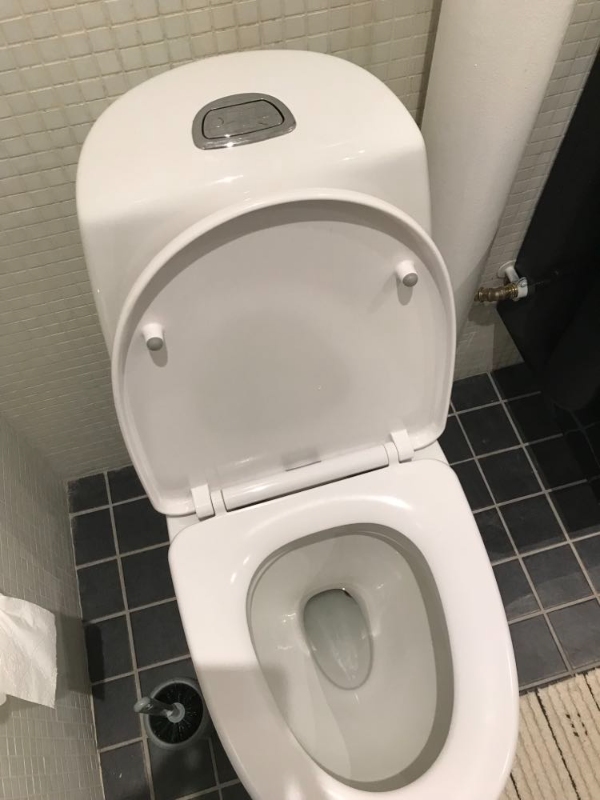 Skift af brusesæt og tjek af toilet (småløber)