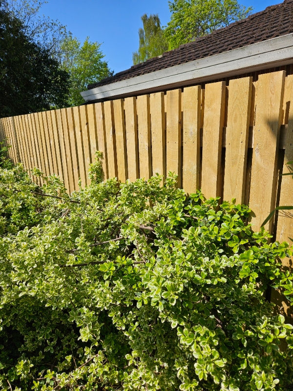 Opsætning af plankeværk