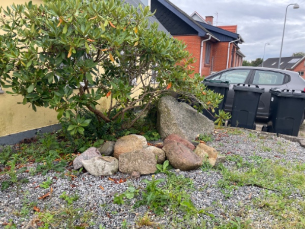 Fjernelse af stor sten + andre mindre sten