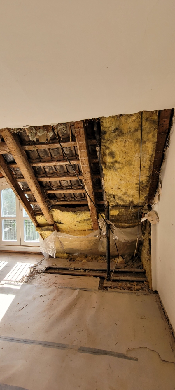 Oprydning og nedbrydning