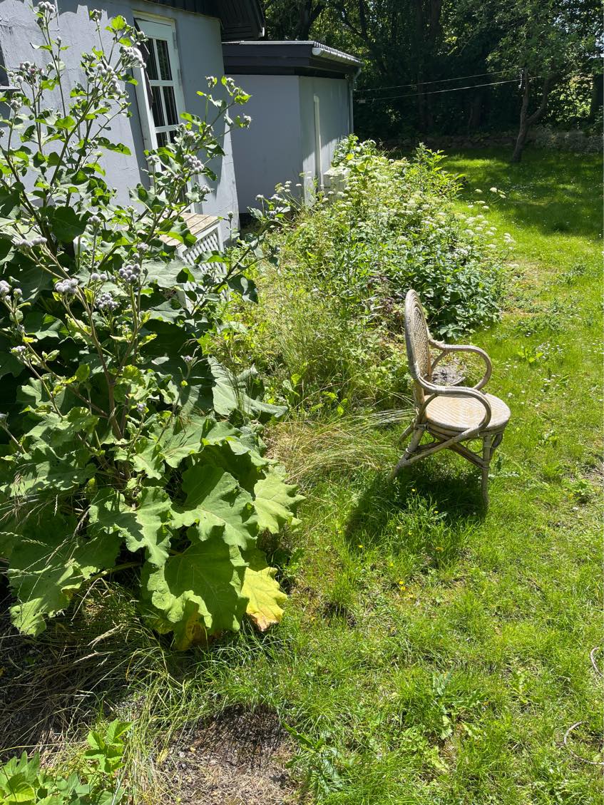 Hækkeklip ca 10, 3 sider  rydning ukrudt ca 40 km2, bortførsel have affald