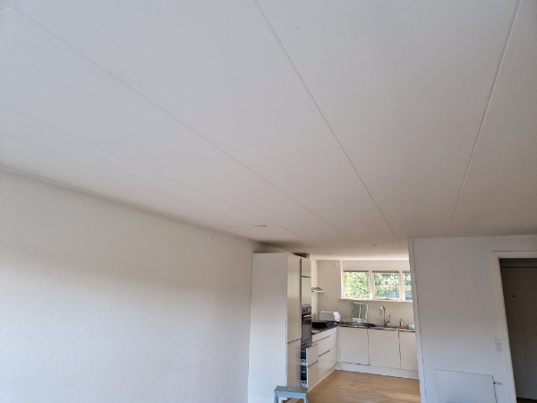 maling af lofter 51,4 m2 heraf er 5 m2 vådrum + en smule væg